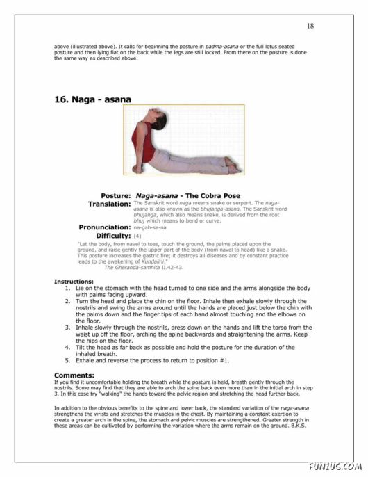 A Complete Guide to Yoga