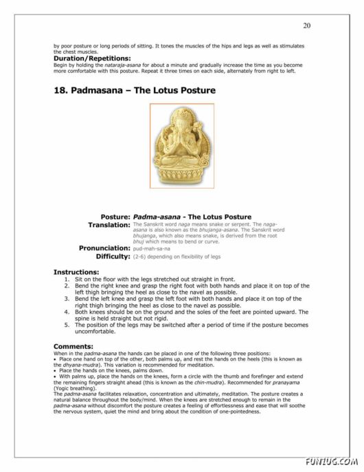 A Complete Guide to Yoga