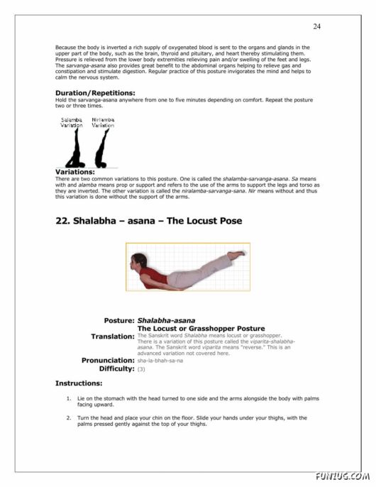 A Complete Guide to Yoga