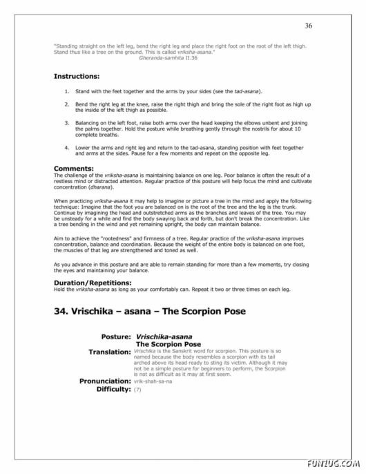 A Complete Guide to Yoga