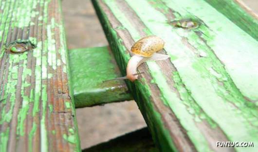 Nothing is Impossible in Life