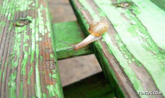 Nothing is Impossible in Life