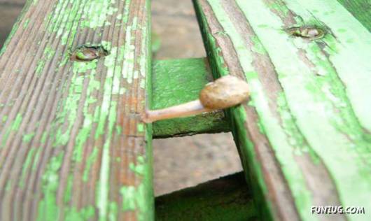 Nothing is Impossible in Life