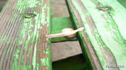 Nothing is Impossible in Life