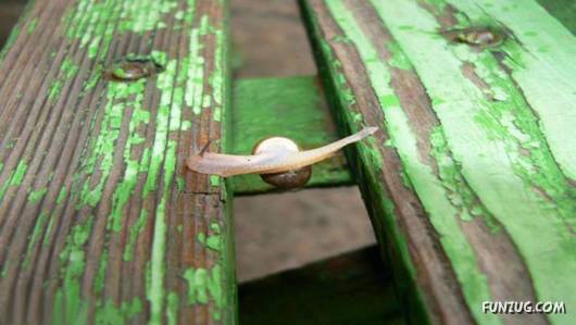 Nothing is Impossible in Life