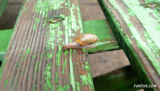 Nothing is Impossible in Life