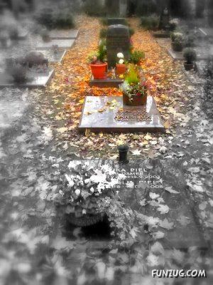 Women ...In Men's Life