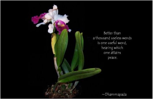 Words That Go Beyond the Pattern