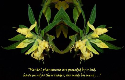 Words That Go Beyond the Pattern