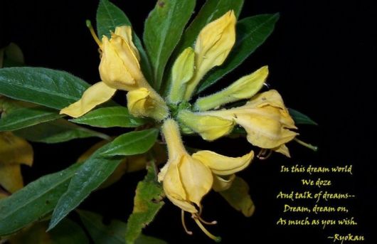 Words That Go Beyond the Pattern