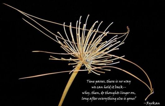 Words That Go Beyond the Pattern