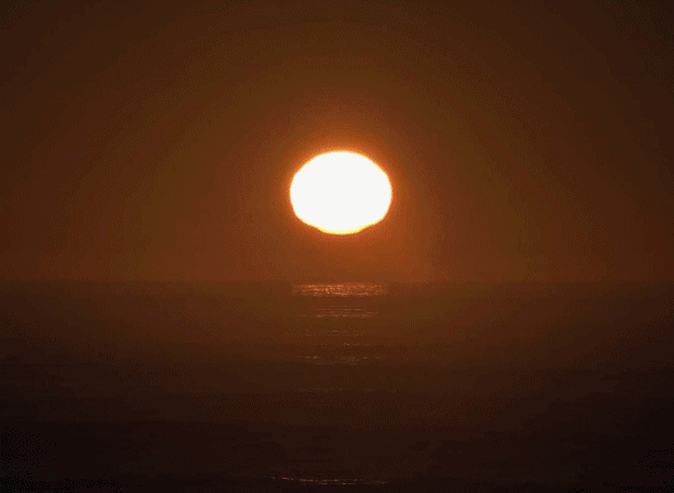 Amazing Animations 4 You