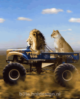 Amazing Animations 4 You