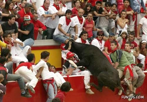 Fighting With Animals is a Tough Job! Oooppss!