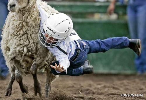 Fighting With Animals is a Tough Job! Oooppss!