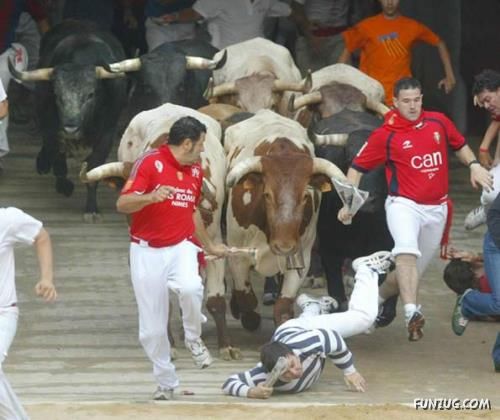 Fighting With Animals is a Tough Job! Oooppss!