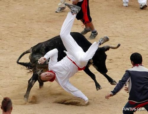 Fighting With Animals is a Tough Job! Oooppss!