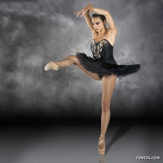 Excellence of the Ballet Dance