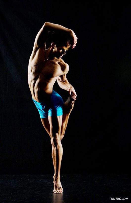 Excellence of the Ballet Dance