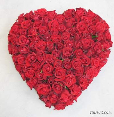 'Beautiful Floral Hearts for You