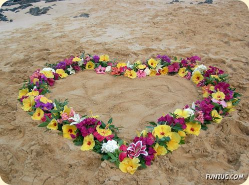 'Beautiful Floral Hearts for You