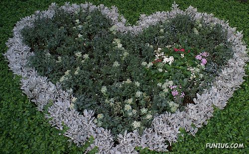 'Beautiful Floral Hearts for You