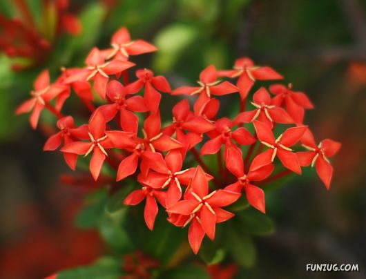 'Beautiful Floral Hearts for You