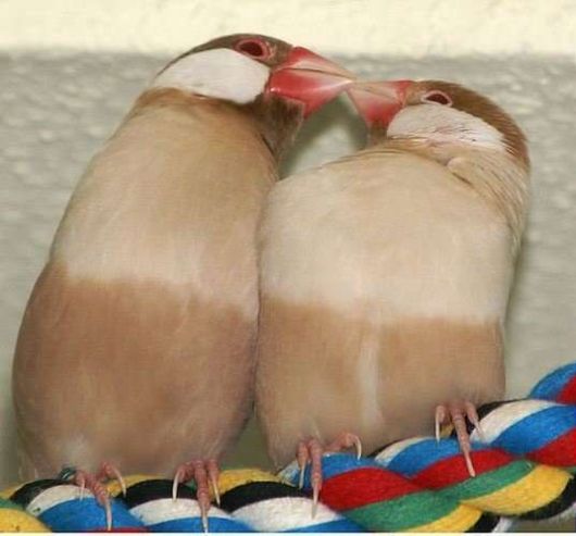 This is How Beautiful Love Is