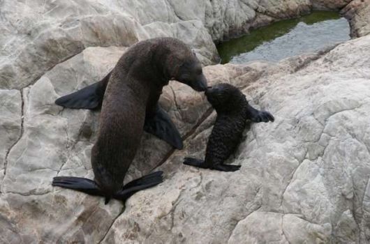 This is How Beautiful Love Is