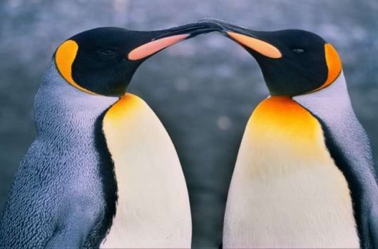 This is How Beautiful Love Is