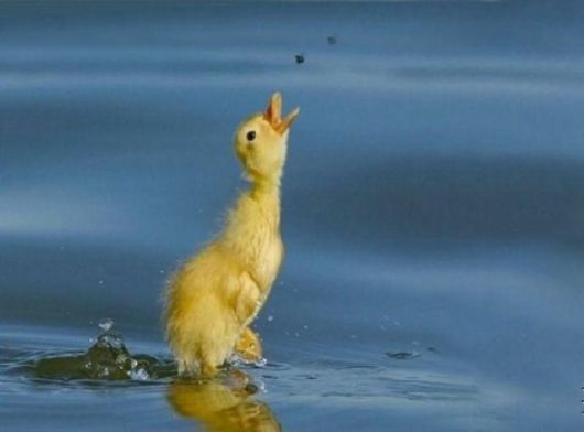 Lets Catch that Moment