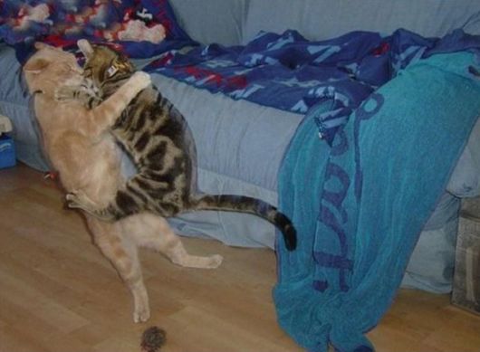 Lets Catch that Moment