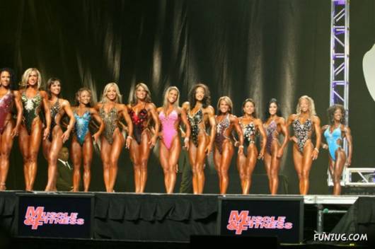 Choose One As Your Valentine