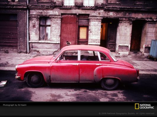 Different Colors of Life by National Geographic