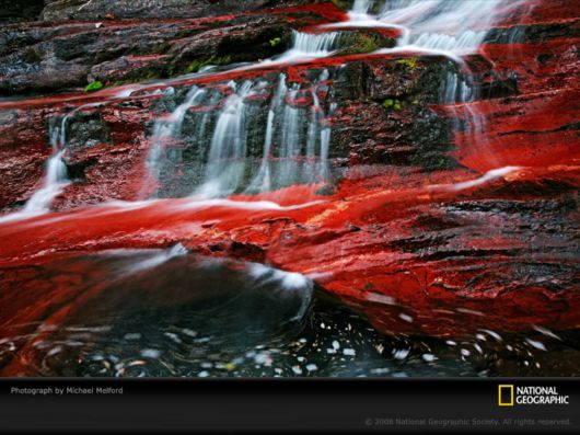 Different Colors of Life by National Geographic