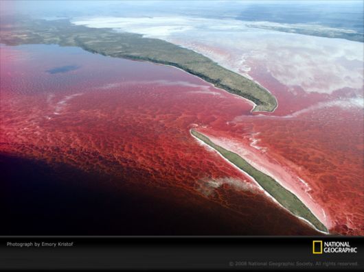 Different Colors of Life by National Geographic