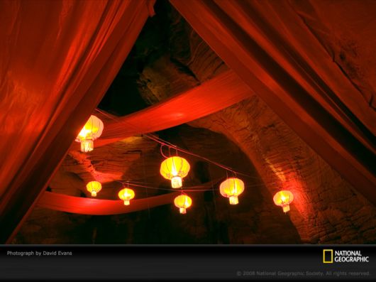 Different Colors of Life by National Geographic