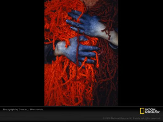 Different Colors of Life by National Geographic