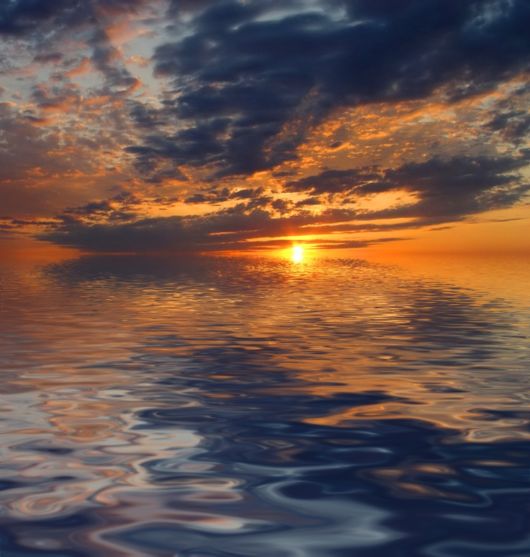 Cute Interactions of Nature