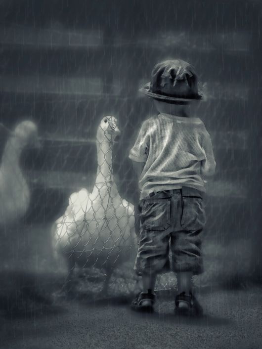 Cute Interactions of Nature