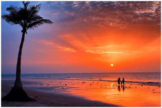 Cute Interactions of Nature