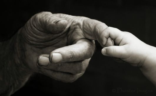 Cute Interactions of Nature