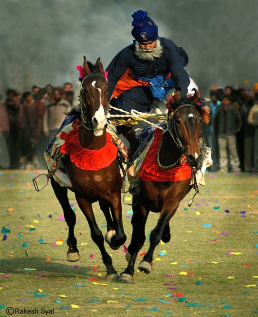 Cute Interactions of Nature