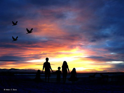 Cute Interactions of Nature