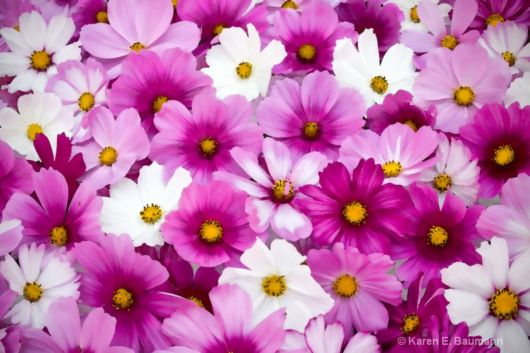 Cute Interactions of Nature