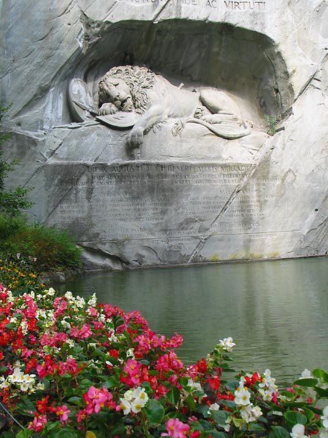 Favourite Snaps By Richard Chu