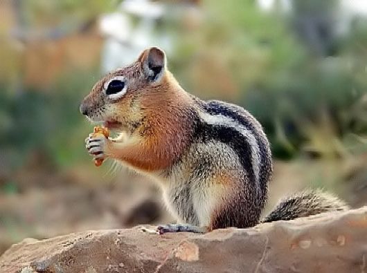 Favourite Snaps By Richard Chu