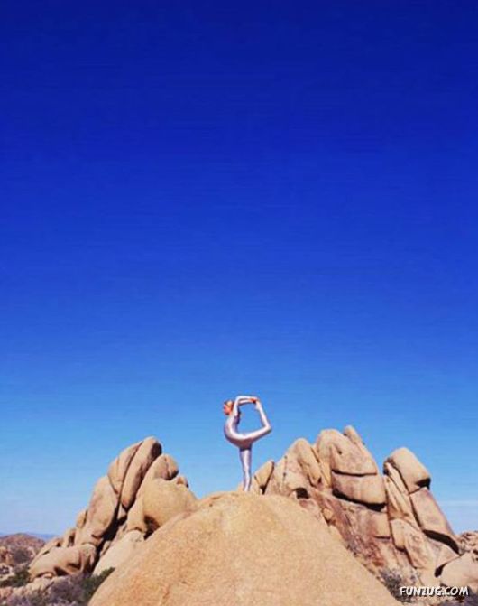 Fitness Freaks in Action