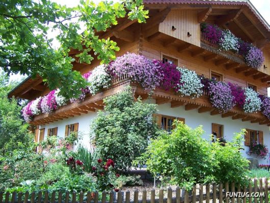 Amazing Floral Decorated Houses