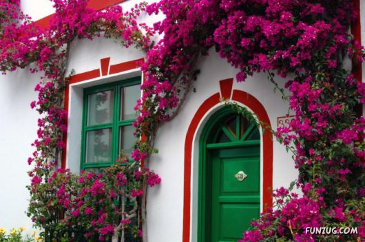 Amazing Floral Decorated Houses